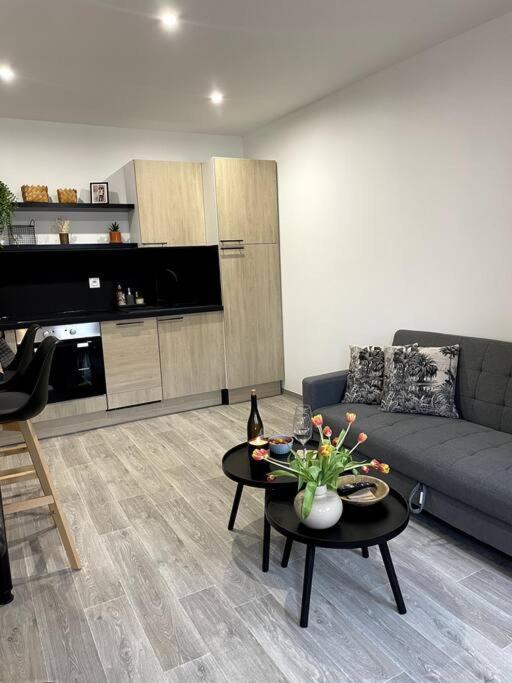 Bel Appartement Sur Cour Plein Centre Ville Et Parking 穆兰 外观 照片
